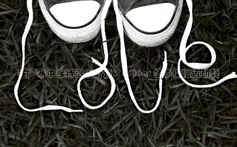 意昂2体育官方网站百度健康在严寒中保持温暖舒适：adidas 冬季保暖运动鞋