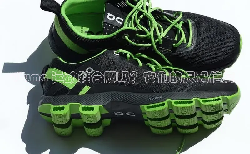 意昂2账号登录入口百度教育Puma 运动鞋合脚吗？它们的尺码信息