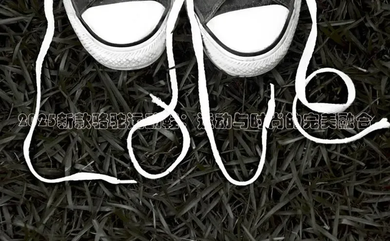 2025新款骆驼运动鞋：运动与时尚的完美融合